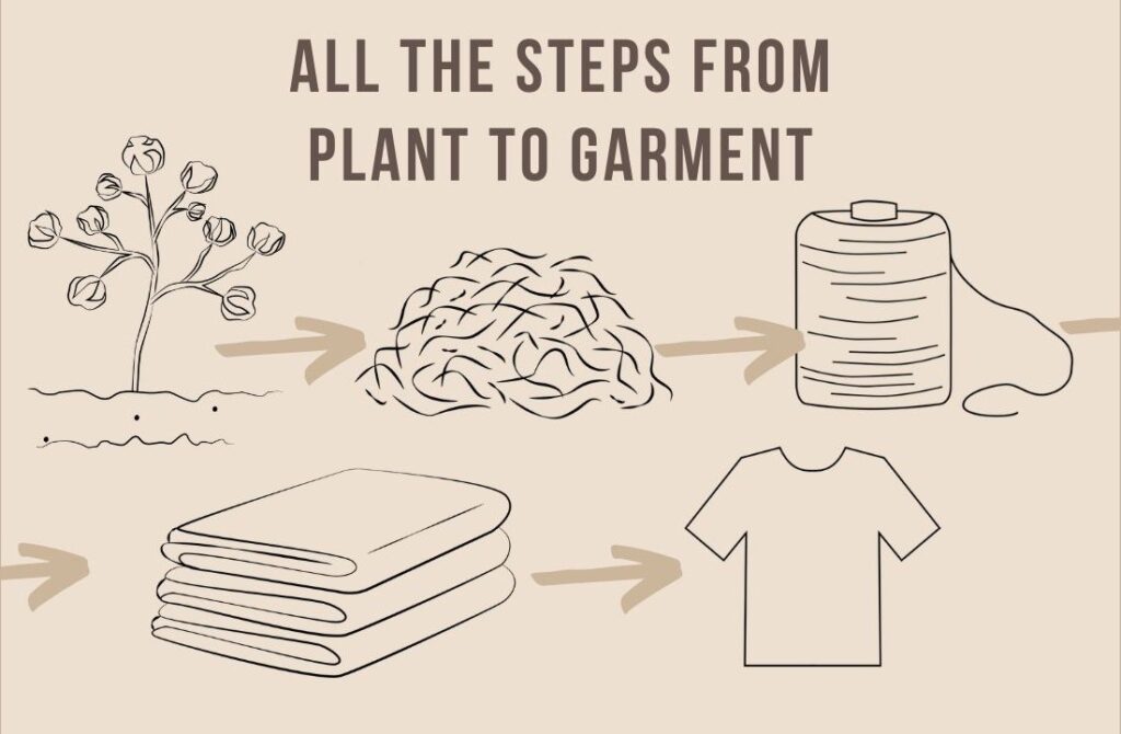 Thumbnail for article about production process of a garment. Drawings are depicting all the steps. Text at the top: "All the steps from plant to garment"